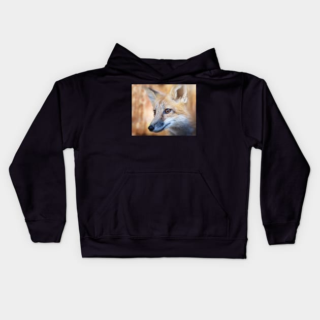 Fox Portrait Kids Hoodie by JeffreySchwartz